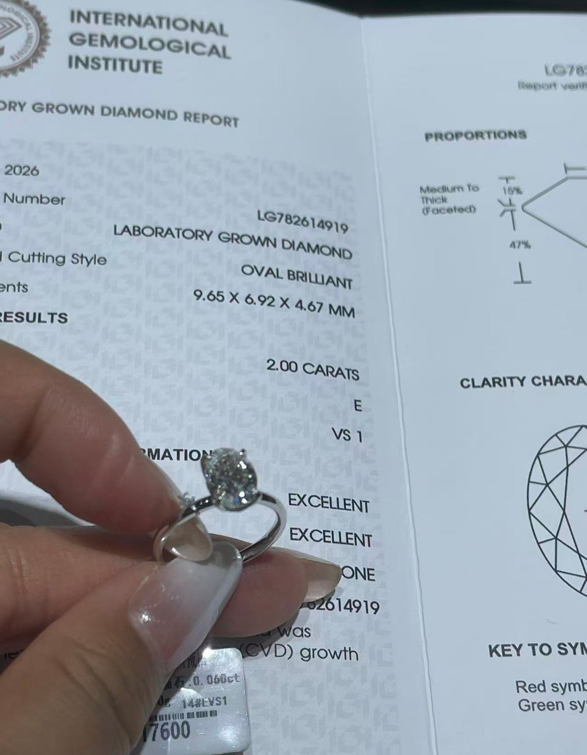 Mia TIKTOK LIVESTREAM 2 CARATS Oval E color VS1  Petal tulip setting Lab Grown Diamond platinum size7
