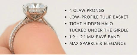 SHIR TIKTIOK LIVESTREAM  14k solid white Gold 3.5ct round brilliant cut E VVS1 with IGI Certificate petal setting and paved band Size 7